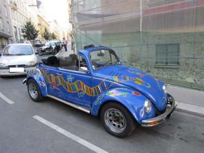 VW Käfer Cabrio blau in Wien